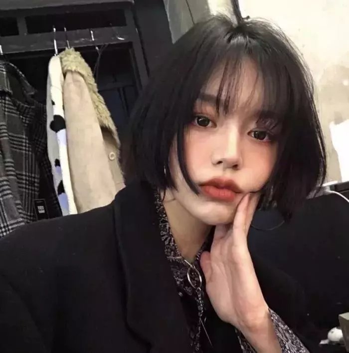 动画冒险